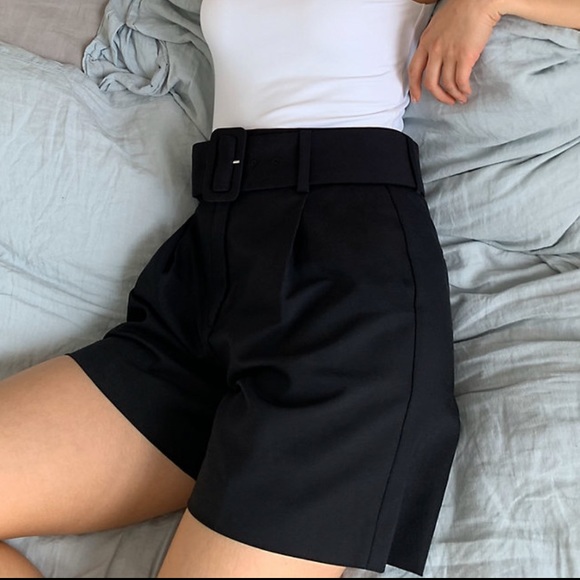 Aritzia Pants - Aritzia Torino Short